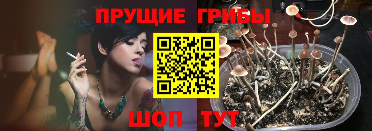 Псилоцибиновые грибы Psilocybe  Галлюциногенные грибы ЛСД  Пенза  Вход с VPN 
